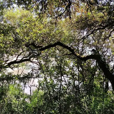 - Ocean Sunset Full View Apartamento