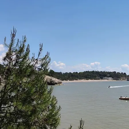- Ocean Sunset Full View Meschers-sur-Gironde