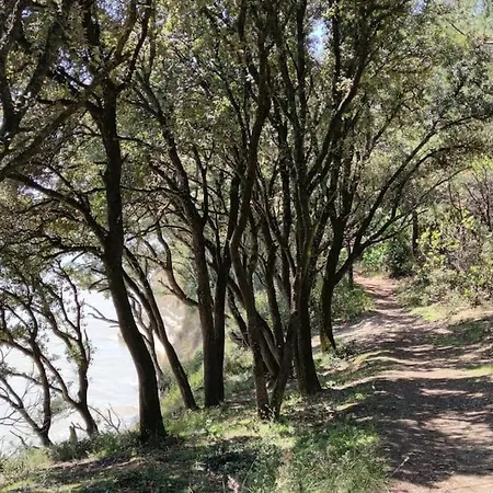- Ocean Sunset Full View Meschers-sur-Gironde