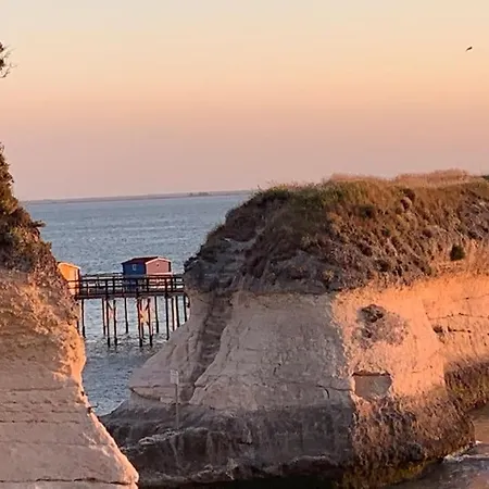- Ocean Sunset Full View Meschers-sur-Gironde