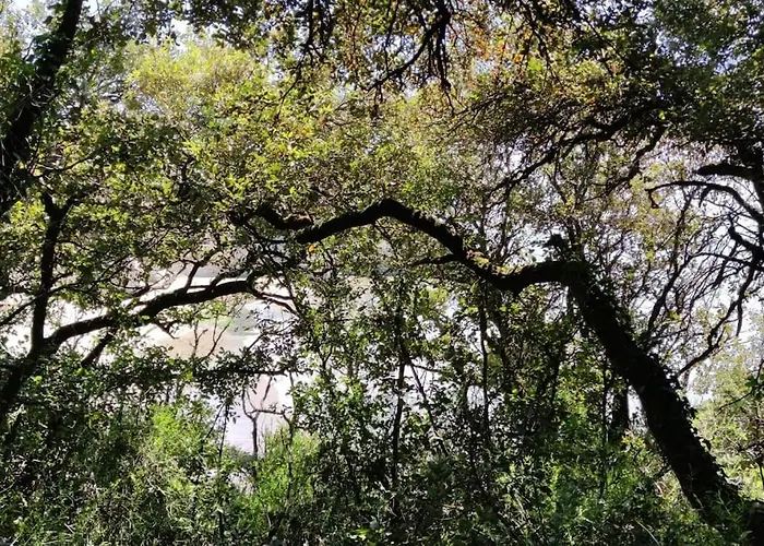 - Ocean Sunset Full View Апартаменты