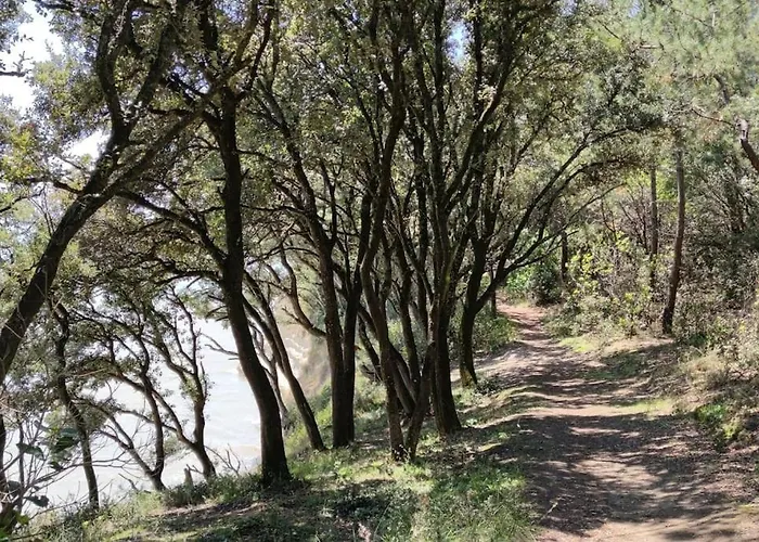 - Ocean Sunset Full View Мешер-сюр-Жиронд