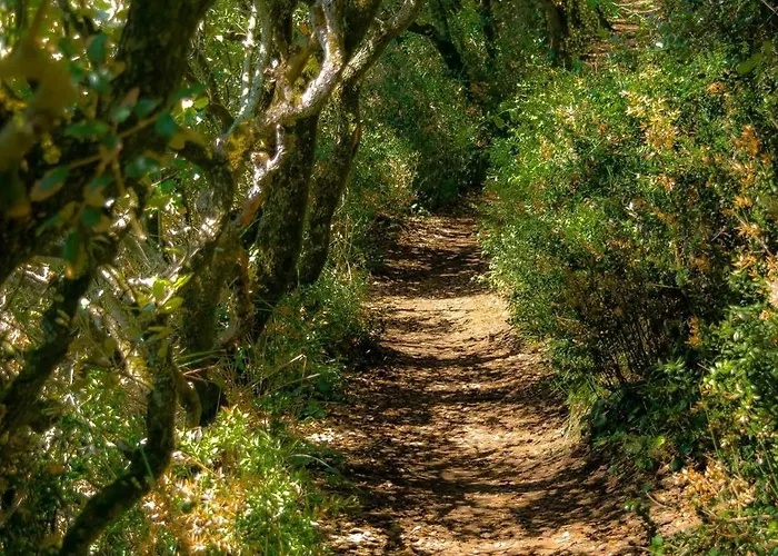 - Ocean Sunset Full View * Мешер-сюр-Жиронд